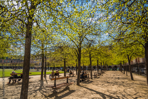 Spring in the park of Paris