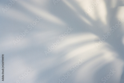 Tropical palm tree branch shadow on beige textured paper background. Overlay effect for photo, cards, posters, stationary, wall art, design presentation. Copy space, close up view.