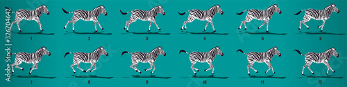 Zebra run cycle animation frames  loop animation sequence sprite sheet 