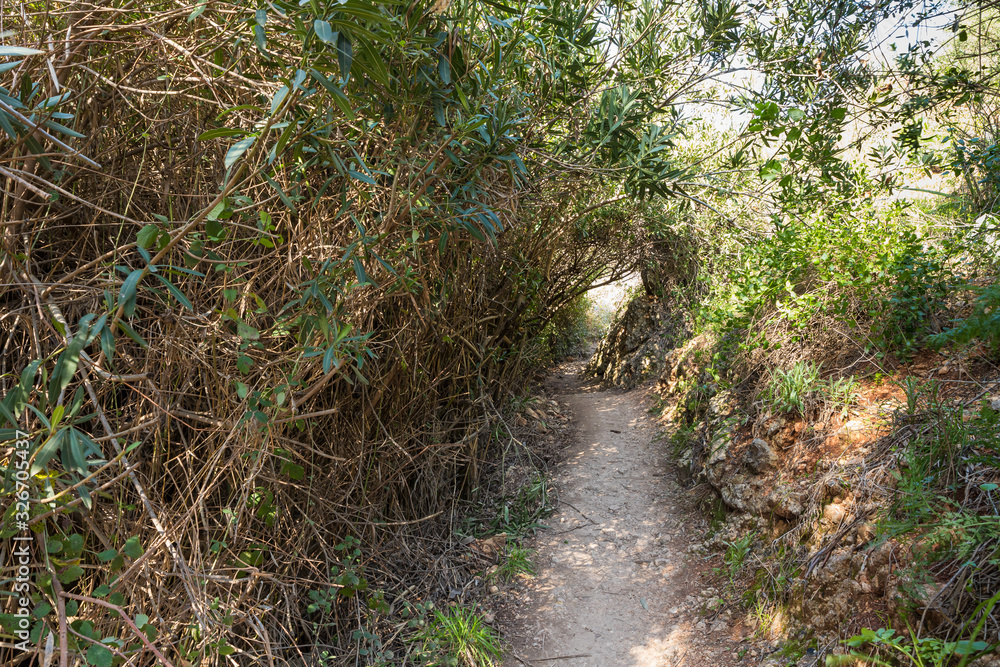 A path passing near the swift, shallow, cold mountain Ayun river in the Galilee in northern Israel A path passing near the swift, shallow, cold mountain Ayun river in the Galilee in northern Israel