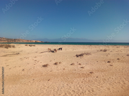 View of Sarakiniko Beach in the Gavdos Island. Lybian Sea. Greece.