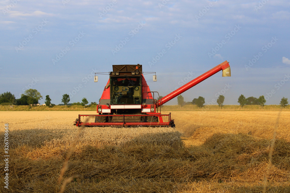 a red combine harvester is harvesting wheat in the dutch countryside in summer a red combine harvester is harvesting wheat in the dutch countryside in summer