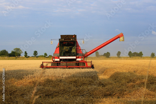a red combine harvester is harvesting wheat in the dutch countryside in summer