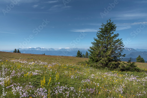 Auf der Gerlitzen photo