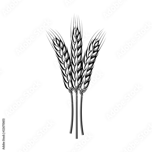Wheat spike ear. Vector illustration cartoon flat icon isolated on white.