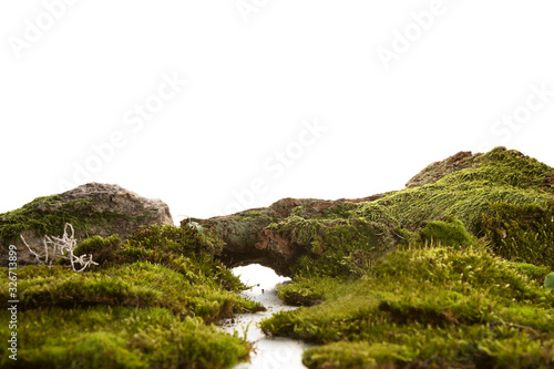 Surreal landscape with wooly moss on white background.