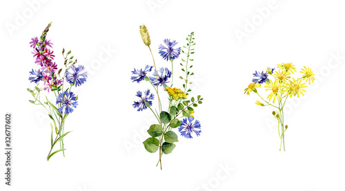 Three small watercolor bouquets of wild flowers