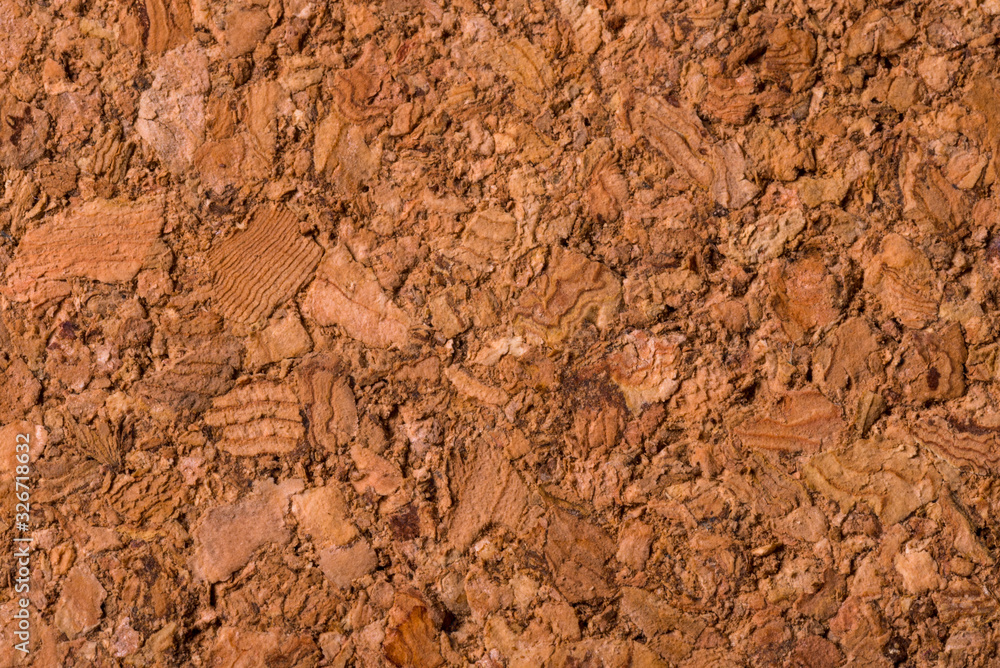 Brown, textured Cork tree background, close up