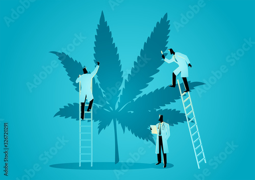 Team of doctors or scientists checking hemp plants
