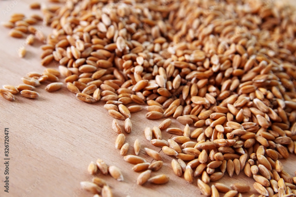 Weizen, Roggen, Korn, Brot, Saat