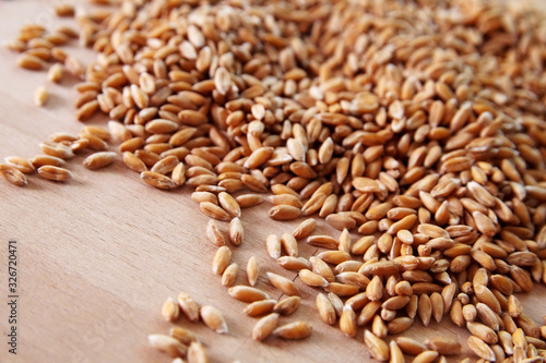 Weizen, Roggen, Korn, Brot, Saat