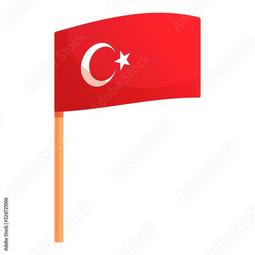 Turkish flag icon. Cartoon of turkish flag vector icon for web design isolated on white background