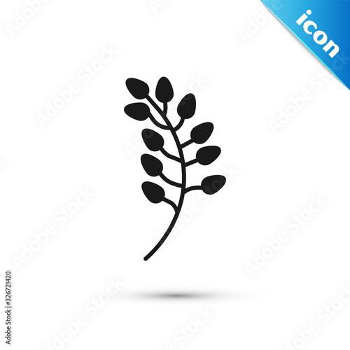 Grey Willow leaf icon isolated on white background. Vector Illustration