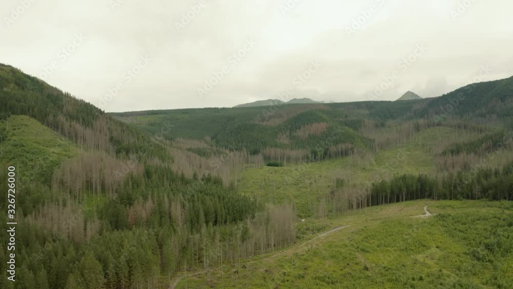 Aerial view of beautiful mountains with green trees and mountain river in cloudy weather. View of coniferous trees and hills on a cloudy evening. Drone flight over coniferous forest. Aerial view of beautiful mountains with green trees and mountain river in cloudy weather. View of coniferous trees and hills on a cloudy evening. Drone flight over coniferous forest.