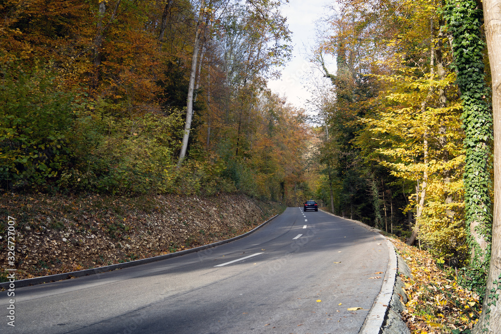 Rural road in autumn in Switzerland in the canton of Wintherthur Rural road in autumn in Switzerland in the canton of Wintherthur