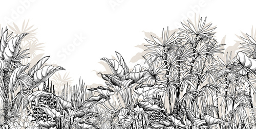 Seamless tropical border with black and white foliage.