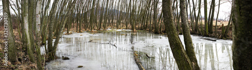 Zamarznięty staw w dzikim lesie z masywem górskim w tle - Sudety