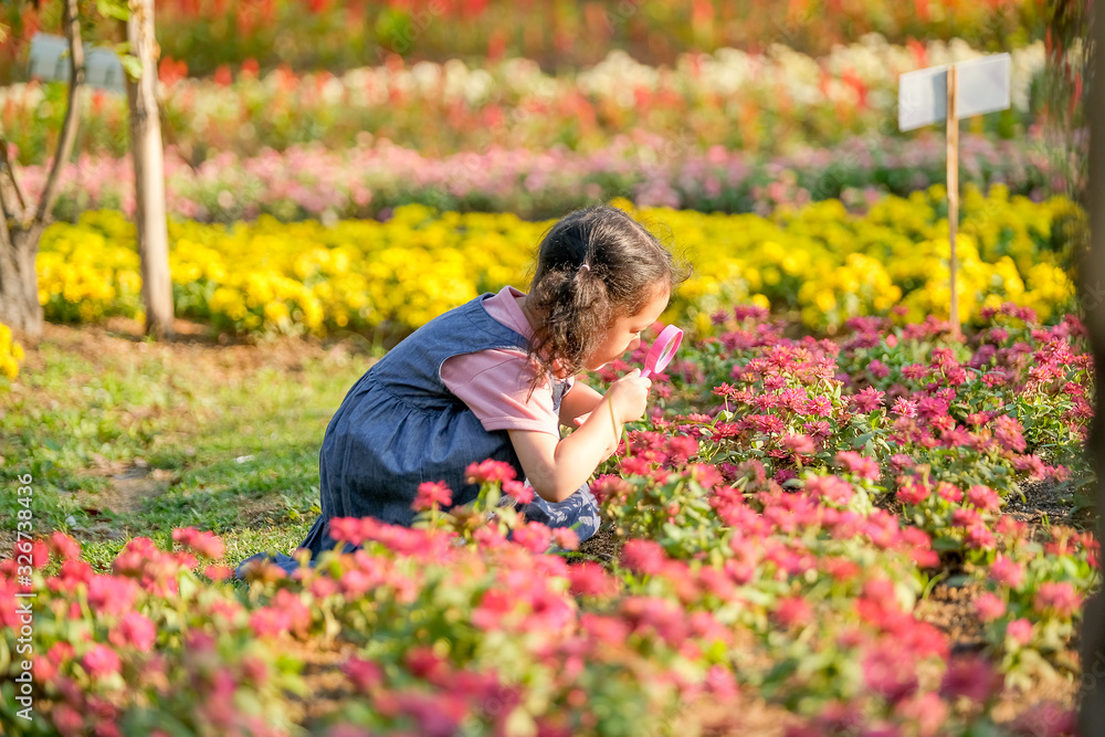 Little Asian girl use pink magnifying glass to search for interesting things in flower shrubs and she look enjoy this activity. Little Asian girl use pink magnifying glass to search for interesting things in flower shrubs and she look enjoy this activity.