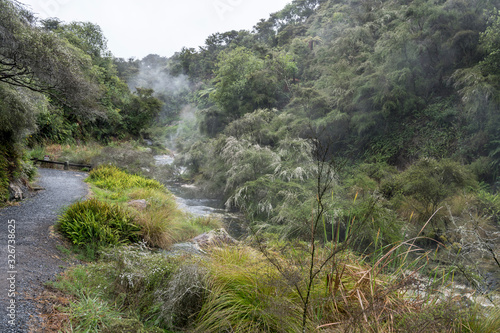 path and steaming creek at Waimangu valley park, Rotorua, New Zealand