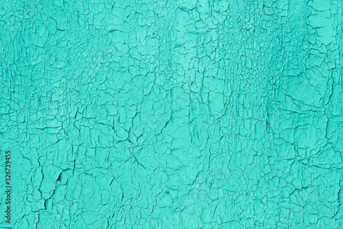 Old wooden painted plywood. Blue dried and cracked paint. Close-up. Background. Texture.