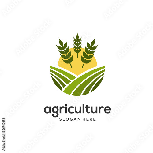 agriculture business, tractor farm, soil farm, crop field, pasture, milk, barn,  G
