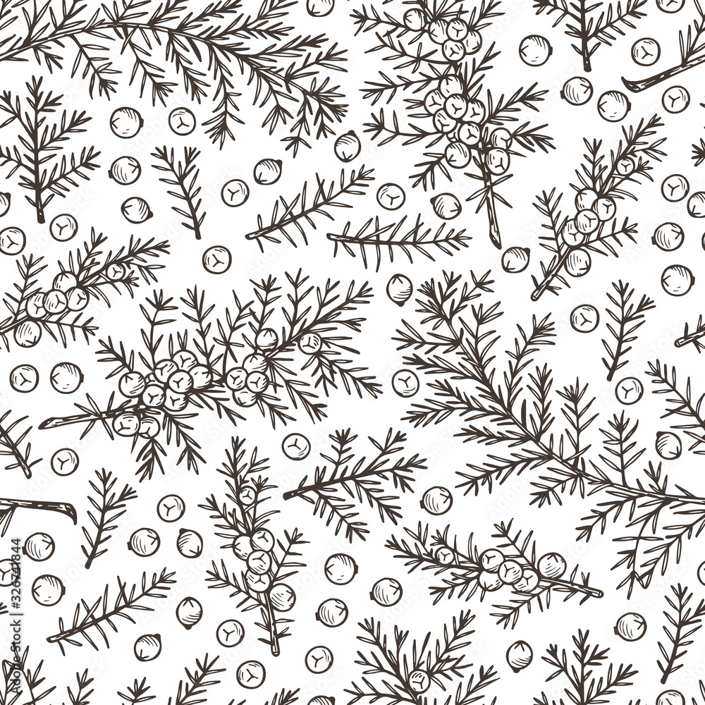 Medicinal plants Seamless pattern. Hand Drawn Juniper branch, Leaves and Berries. Alternative medicine. Biological additives are. Traditional herbal therapy. Vector illustration