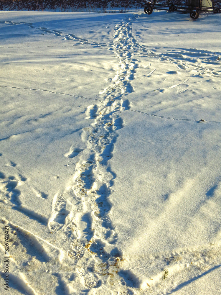 path in Sunny weather through a snowy plain path in Sunny weather through a snowy plain