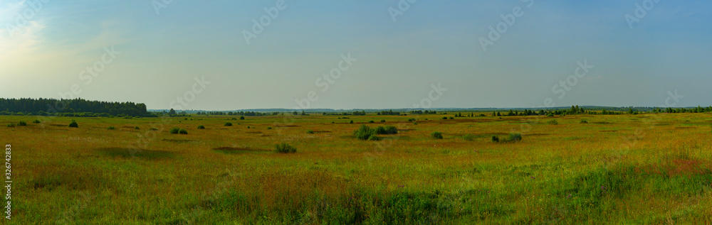 View of a summer field surrounded by woods. Ivanovo region, Russia.