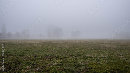 Obraz na plátně Parco con nebbia - Noventa di Piave VE