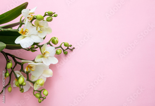 Canvas-taulu Springtime, easter