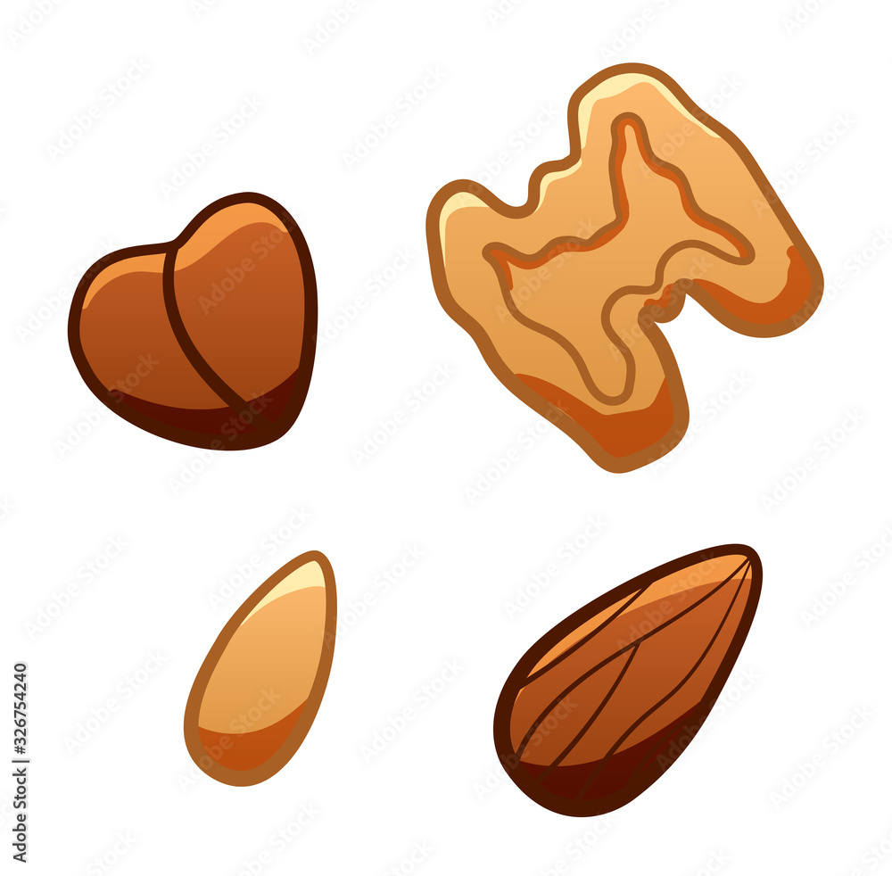Cartoon style isolated nuts set on white background Cartoon style isolated nuts set on white background