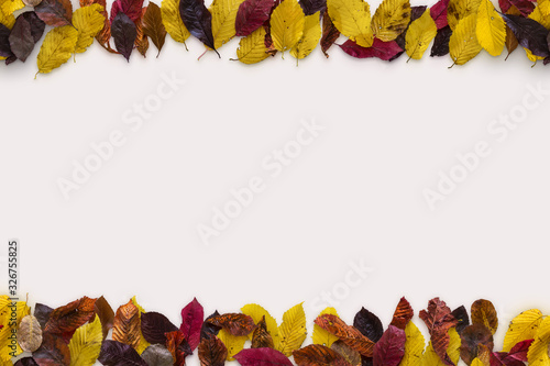 Autumn color leaves mix mockup on table with white background