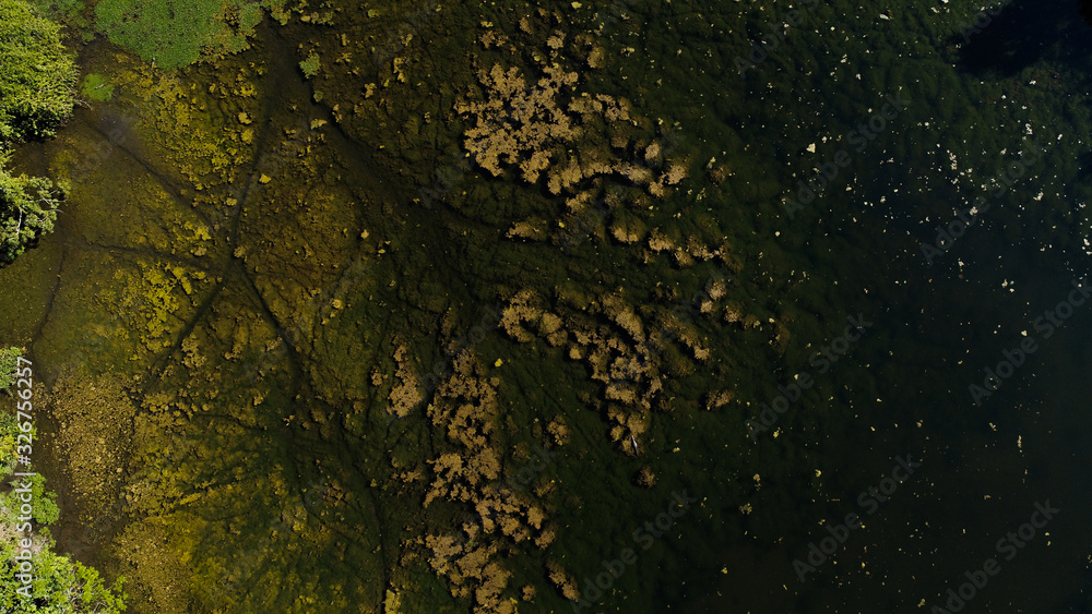 Aerial image of a river in the Pantanal Aerial image of a river in the Pantanal