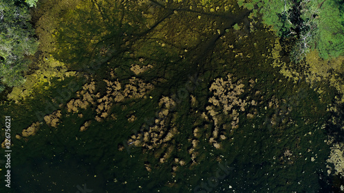 Aerial image of a river in the Pantanal