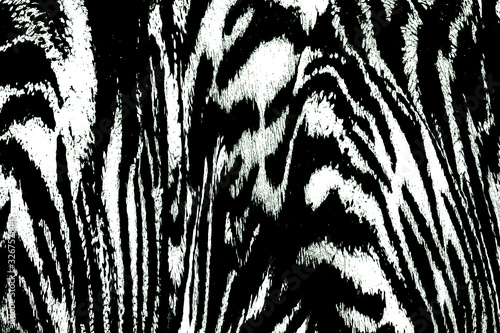 Black and white abstract background.Striped Zebra pattern.