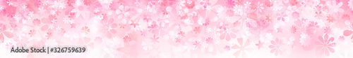 Spring horizontal banner of various flowers in pink colors © Olga Moonlight
