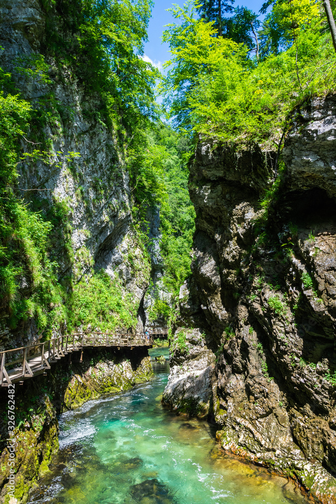 Landscape in Vintgar Gorge (Soteska Vintgar) near Bled town in Slovenia Landscape in Vintgar Gorge (Soteska Vintgar) near Bled town in Slovenia