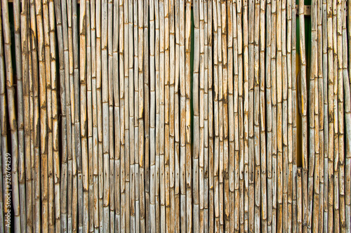 Closeup shot of dry bamboo sticks isolated