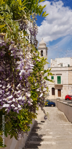 Detail of flowers, Italian street decorated by flowers, Bari, Italy