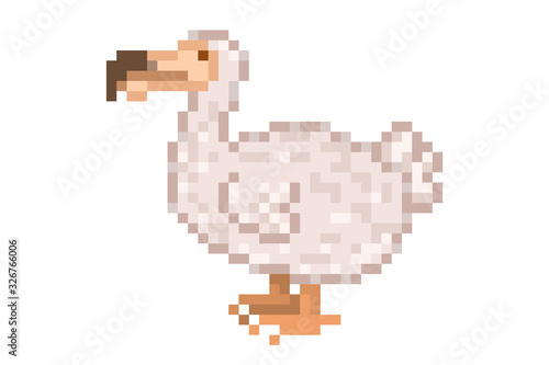 Dodo, extinct flightless bird, 8 bit pixel art icon isolated on white background. Old school vintage retro slot machine/video game graphics.