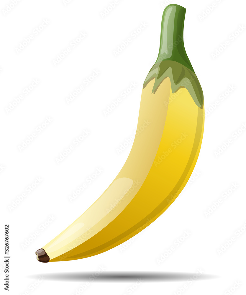 Drawing of a beautiful, ripe banana fruit. Vector illustration isolated on a white background. Drawing of a beautiful, ripe banana fruit. Vector illustration isolated on a white background.