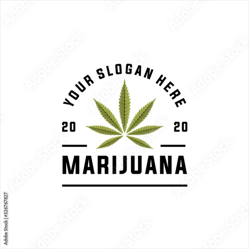 cannabis and marijuana logo design elements. Vector illustration and logotype template, Medical cannabis logo vintage