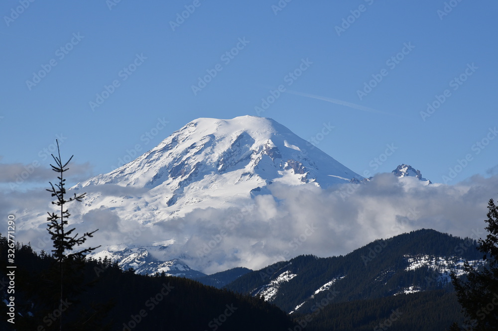 Mount Rainier Vista