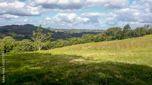 Campo no interior do RS, Brasil