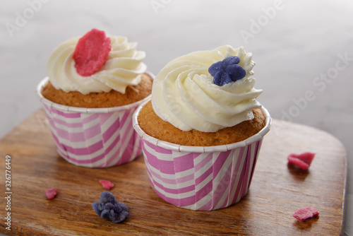 Creamy cupcake with cream and candied flower on a wooden board on a gray background.