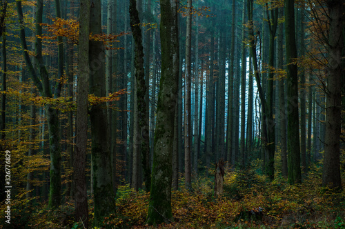 wood with blue light..