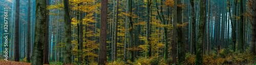 wood in yellow and blue..