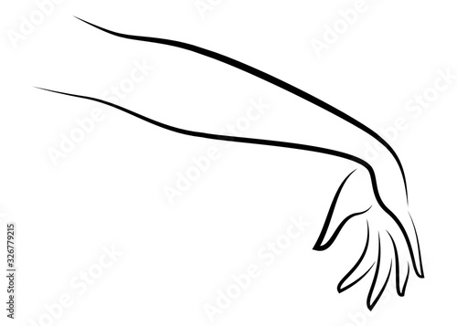 Female hand. Beautiful graceful silhouette. Thin fingers. Vector illustration.