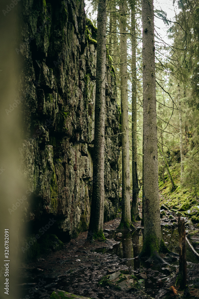 Obraz premium Wall of stone. Skurugata. Mountain deep in the dark forrest.