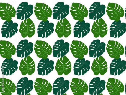 Pattern of tropical leaves. © Nataliia